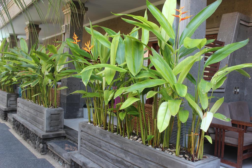 Letos Kubu Homestay Kuta Lombok Exteriör bild