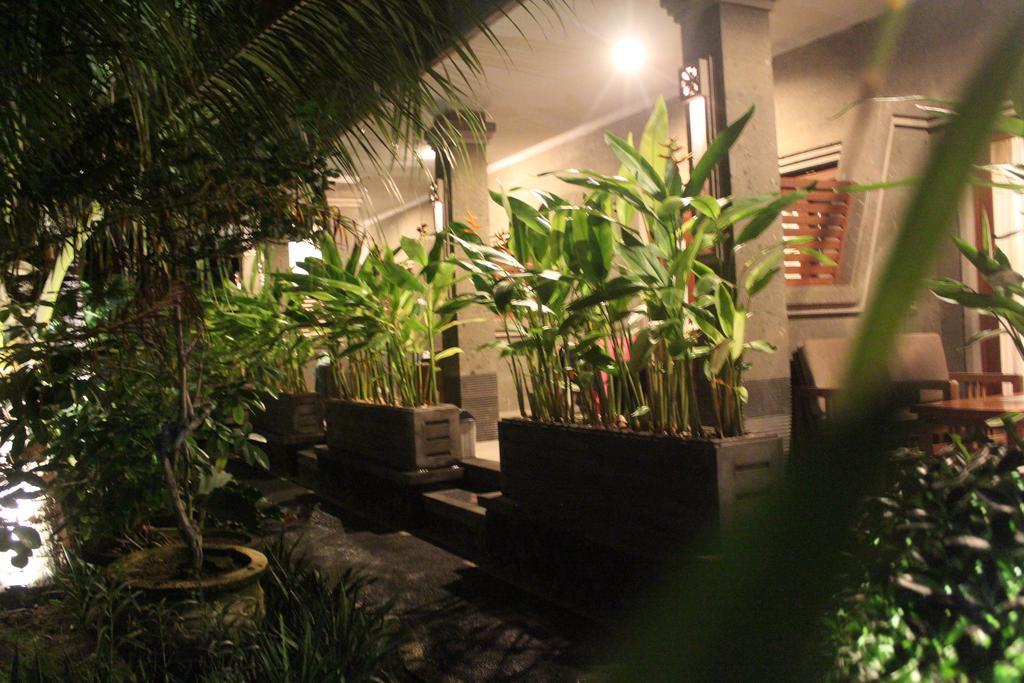 Letos Kubu Homestay Kuta Lombok Exteriör bild